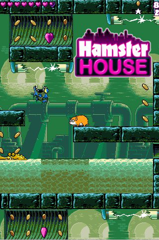 hamsterhouse01