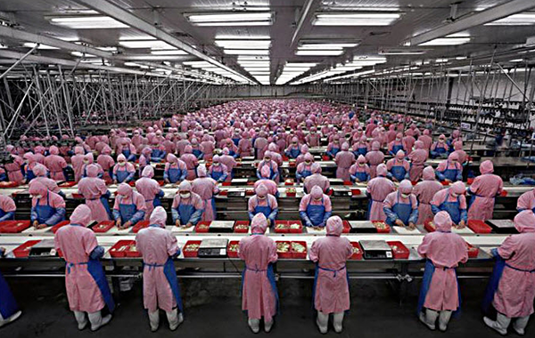 Foxconn Production Line