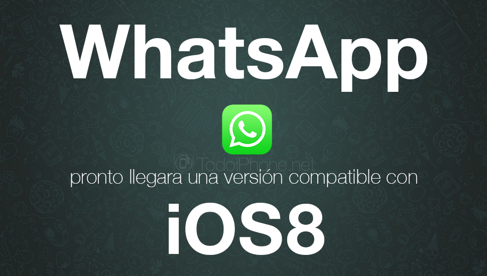 WhatsApp-iOS-8-Rumor