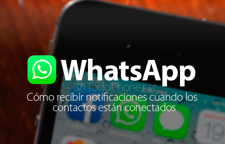 Как узнать, когда контакты подключены в WhatsApp 82