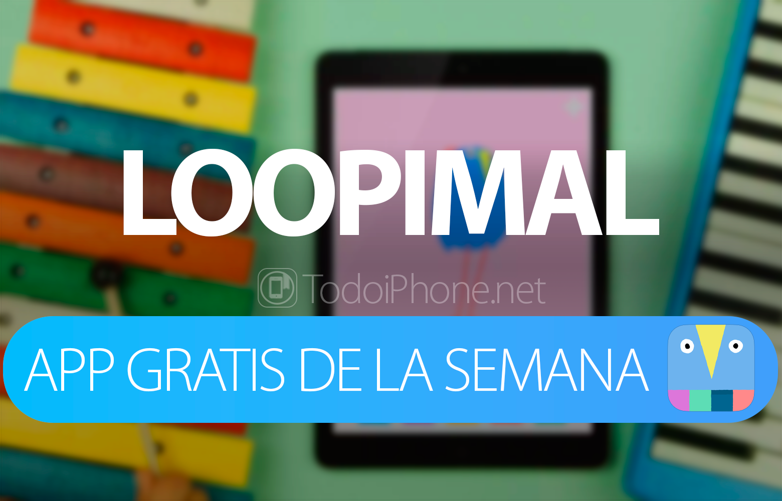 loopimal-app-semana